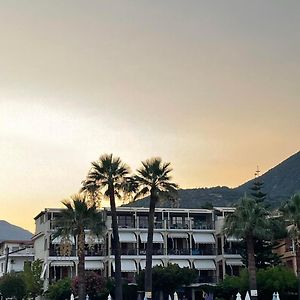 Palm Trees Hotel